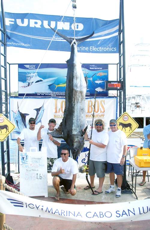 Los Cabos Billfish Tournament