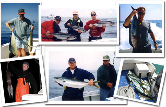 Tackleman Fishing Charters, Pictures of Fish