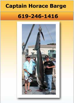 Tackleman Fishing Charters, Pictures of Fish