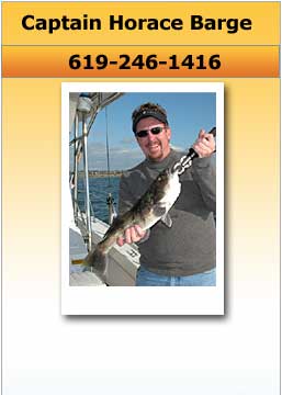 Tackleman Fishing Charters, Pictures of Fish