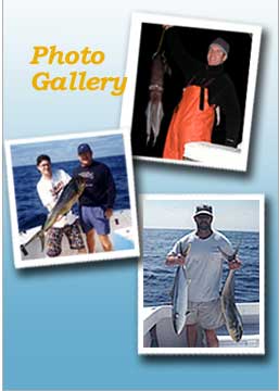 Tackleman Fishing Charters, Pictures of Fish