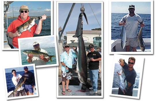 Tackleman Fishing Charters, Pictures of Fish
